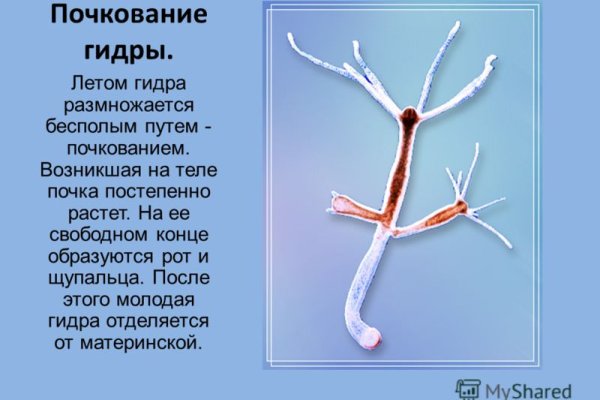 Как зарегистрироваться на сайте кракен