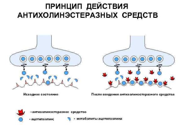 Кракен ru